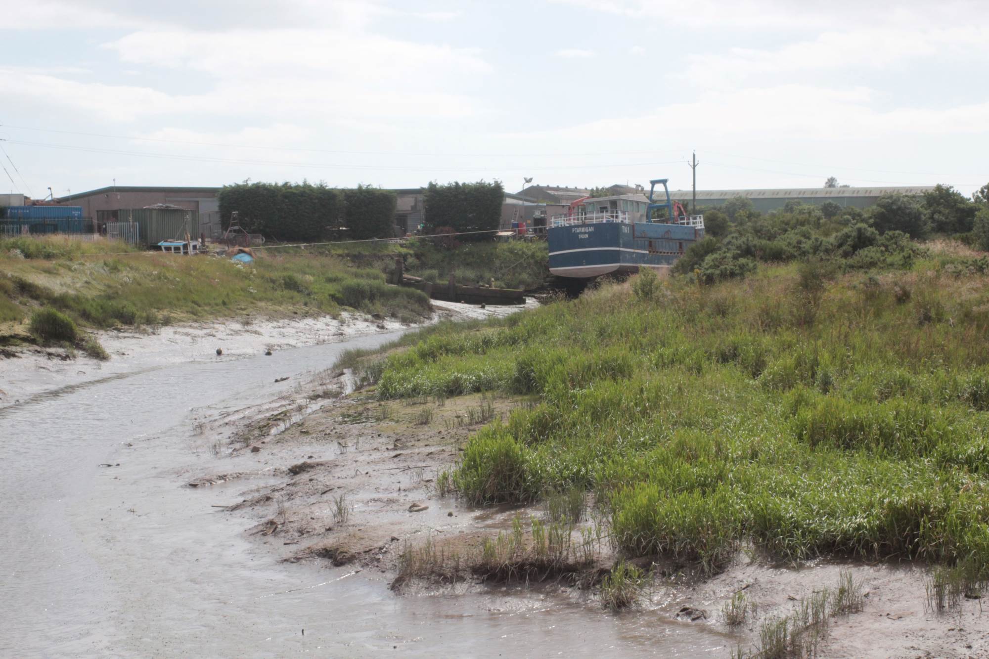 Anann Harbour July 2016