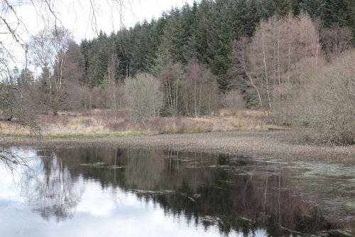 the ponds on the Southern upland Way