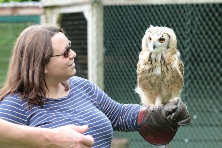 owl
