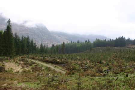 black_loch view