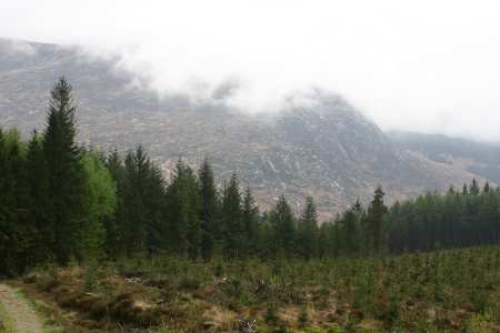 black_loch view