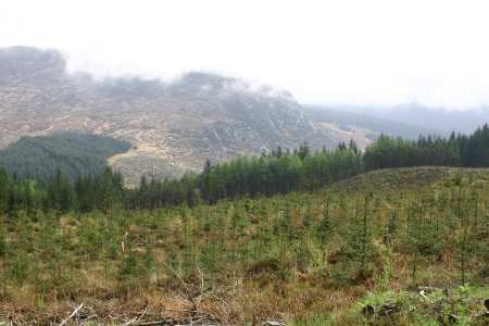 black_loch view