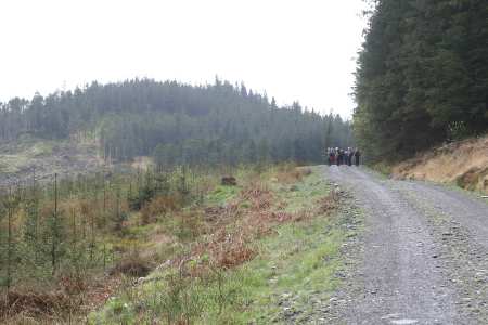 black_loch 