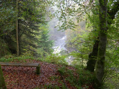 Buccleuch Estate 