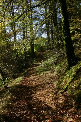 Buccleuch Estate 