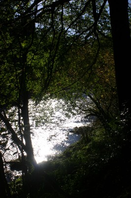 Buccleuch Estate 