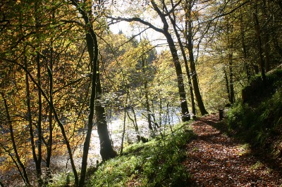 Buccleuch Estate 