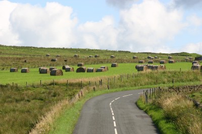 Buccleuch Estate 