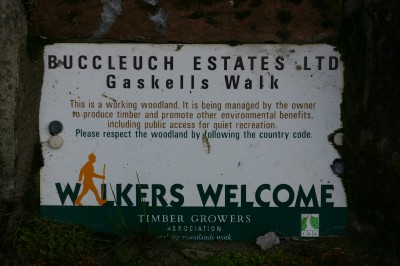 Buccleuch Estate 