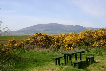 Criffel from caerlaverock reserve  