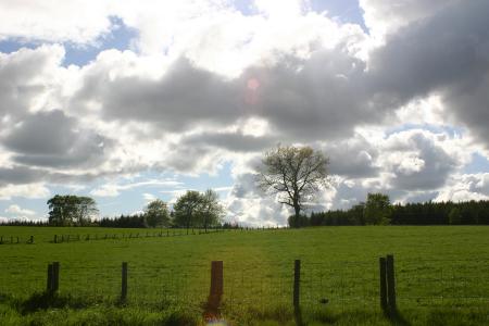 Clouds