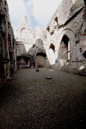 dryburgh abbey 