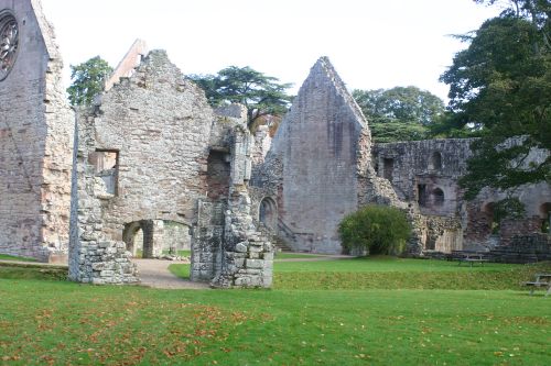 dryburgh abbey 