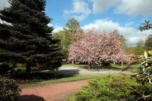 Gardens at The Crichton