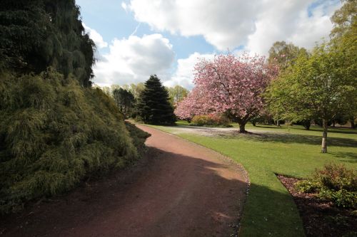 The cichton Gardens
