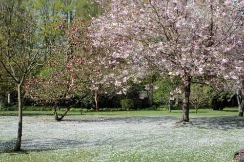 Gardens at The Crighton