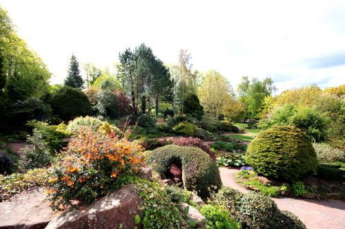 Crighton gardens