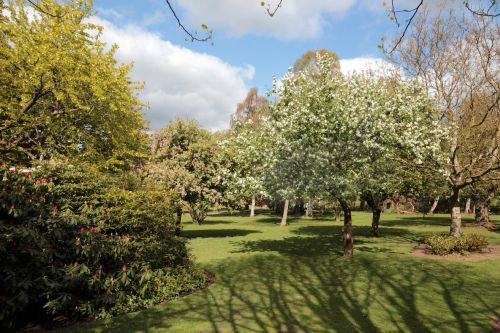 Crichton gardens
