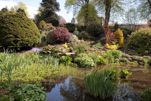 Crighton gardens