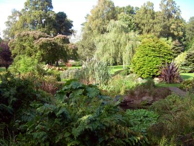 Crichton  grounds