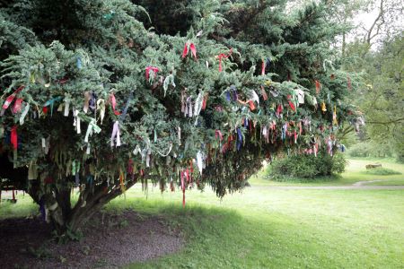 The prayer Tree