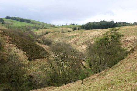 Sculptures at Glenkiln