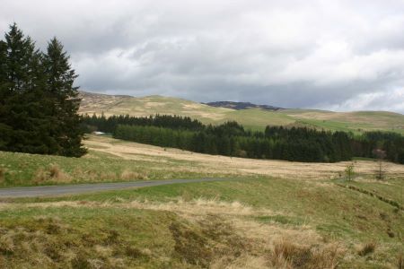 Sculptures at Glenkiln