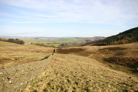 Sculptures at Glenkiln