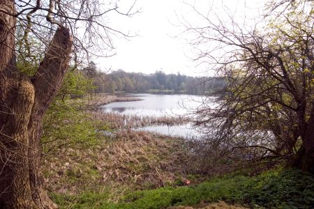 Kinmount estate,