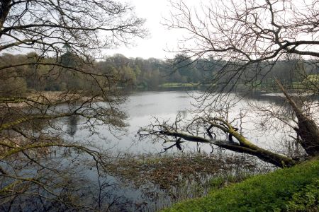 Kinmount estate,