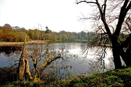 kinmount_estate 
