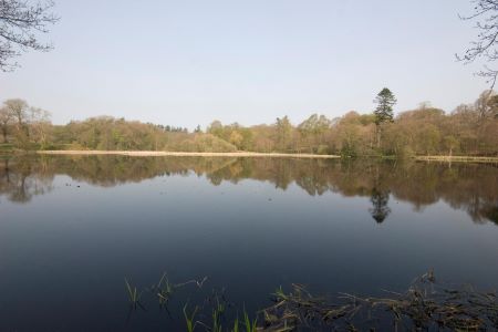 Kinmount estate,