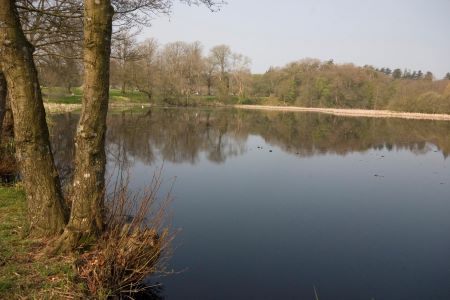 Kinmount estate,