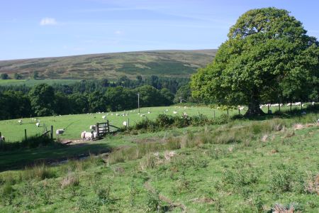 view at Langholm