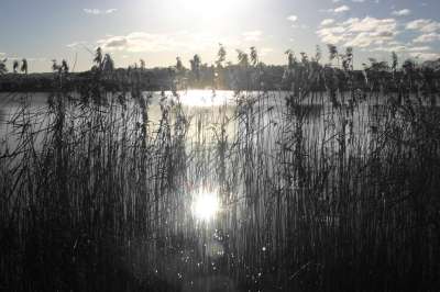 Mill Loch lochmaben
