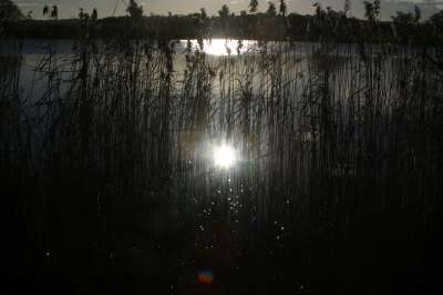 Mill Loch lochmaben
