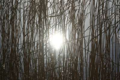 Mill Loch lochmaben