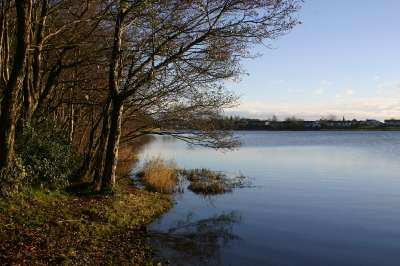 Mill Loch lochmaben