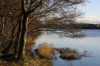Mill Loch lochmaben