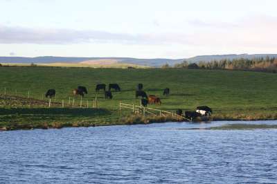 Mill Loch lochmaben