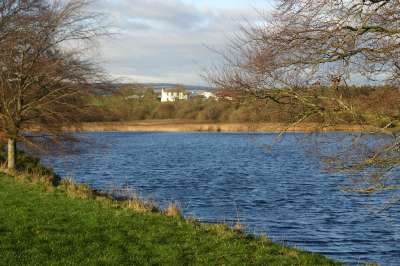Mill Loch lochmaben