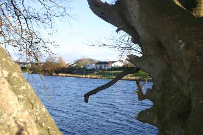 Mill Loch lochmaben