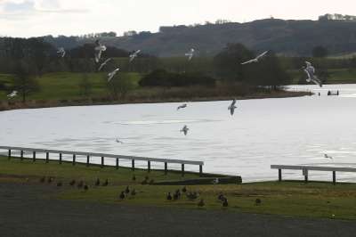 Mill Loch lochmaben