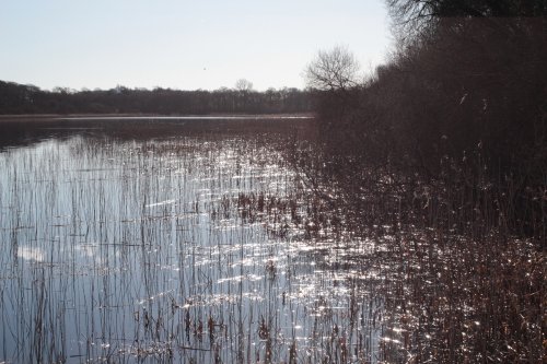 Castle Loch