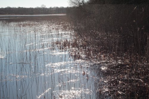 edge of loch