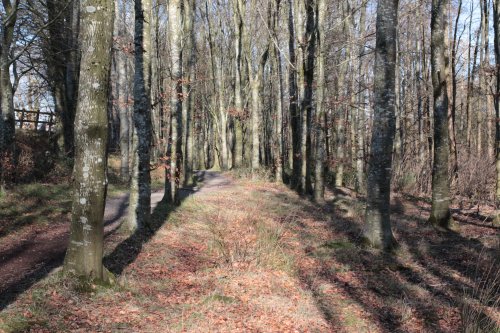 Path around loch