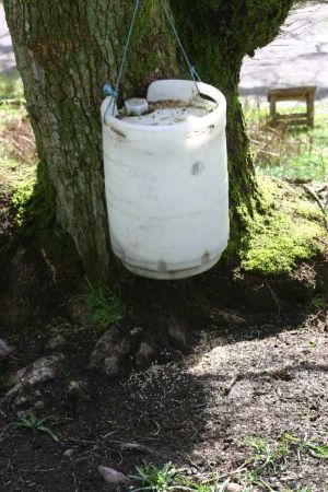 lochwood_plantation 