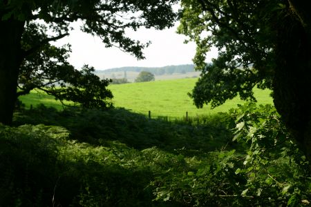 Lochwood plantation