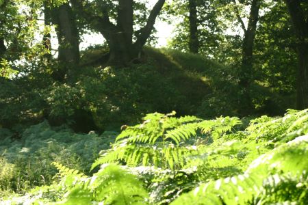Lochwood plantation