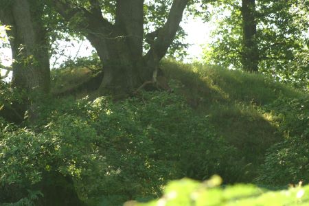 Lochwood plantation